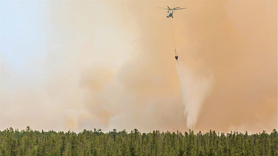 За 2 месяца в Югре потушили больше 26 тысяч гектаров лесных пожаров