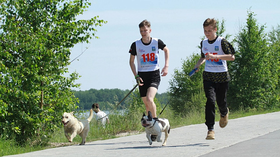 В Урае спортсмены пробежали кросс вместе со своими собаками