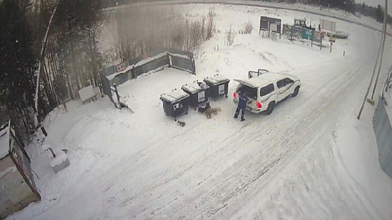 Хантымансийцы намерены найти несознательного гражданина, который выбросил щенков на мусорку в мороз