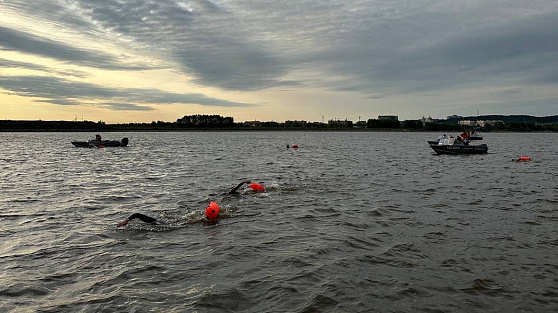 Пловцы со всей России преодолеют 54 километра по Иртышу