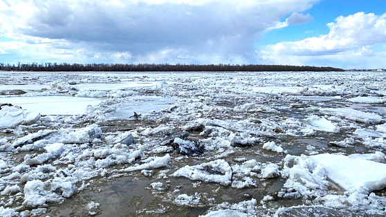 Вода в Оби в районе Нижневартовска не превышает критической отметки