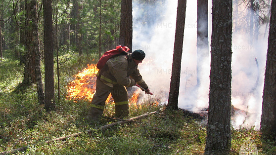 За сутки в Югре потушили 12 природных пожаров