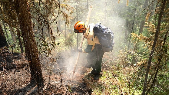 В Югре локализованы 8 из 10 действующих лесных пожаров