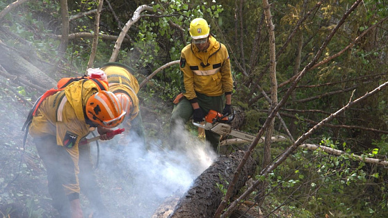 Югорские лесные пожарные потушили очаг в заповеднике