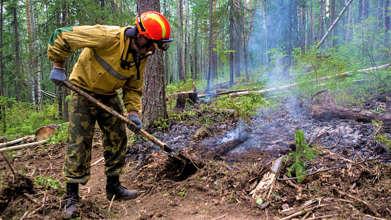 В Югре сократилась площадь лесных пожаров