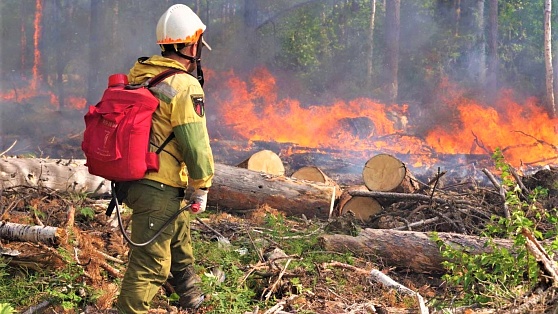 Лесной пожар в заповеднике «Юганский» тушат вручную