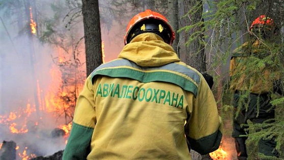 В Югре создали резерв лесопожарных