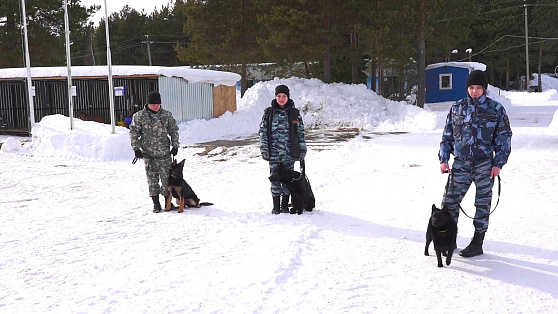 В День собак-ветеранов сургутские кинологи рассказали о своих четверолапых напарниках