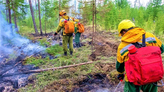 За сутки в Югре возникло 3 новых лесных пожара