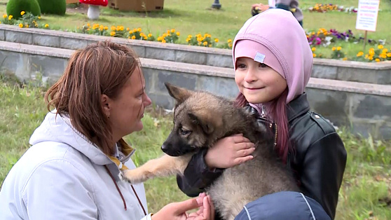 В Нефтеюганске провели фестиваль помощи животным