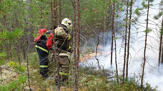 В Югре тушат 5 лесных пожаров