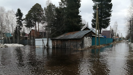 В Сургуте река вышла из берегов и затопила дачный кооператив