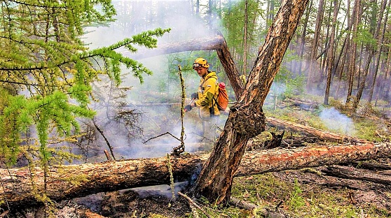 В Югре локализовали 8 лесных пожаров