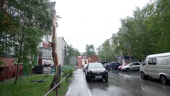 После штормового ветра в городах Югры убрали поваленные деревья и восстановили электроснабжение
