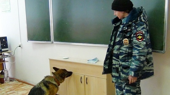 Подозрительных предметов не обнаружили: в Нефтеюганске полицейские обследовали эвакуированные школы