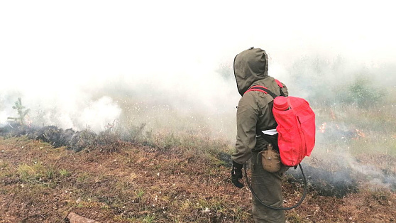 Виновниками трёх природных пожаров в Югре стали люди