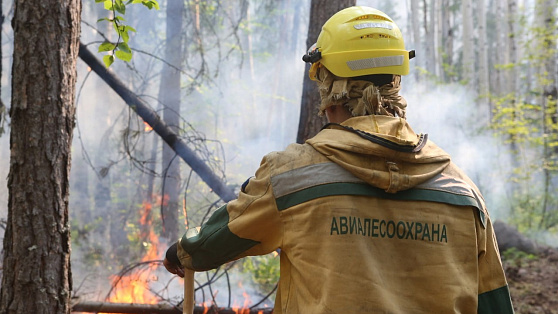 В Октябрьском районе тушат крупный лесной пожар