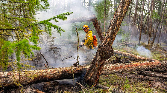 В Югре большинство лесных пожаров тушат за сутки