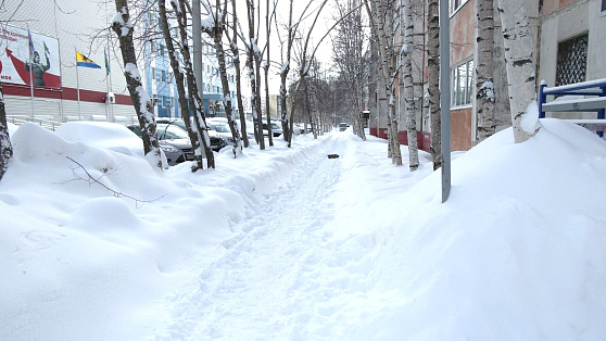 В Сургуте за сутки выпало больше среднемесячной нормы снега