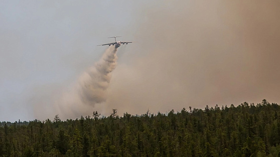 Самые крупные лесные пожары действуют на севере Югры