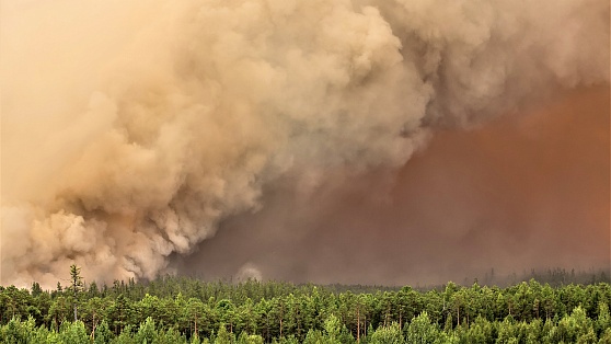 Дым с пожаров в Берёзовском районе ветром доносит до городов Югры