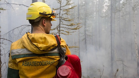 С начала сезона в Югре потушили 12 природных возгораний