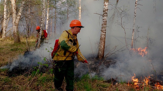За неделю в Югре ликвидировали 9 природных пожаров