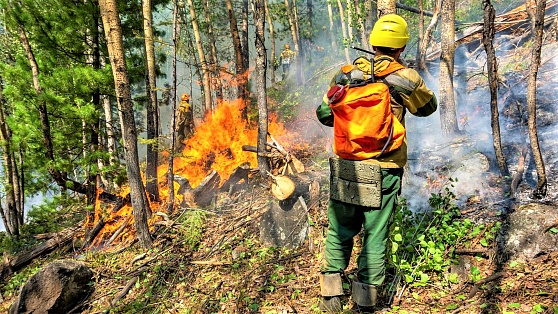 Добровольцы помогают тушить лесные пожары в Югре