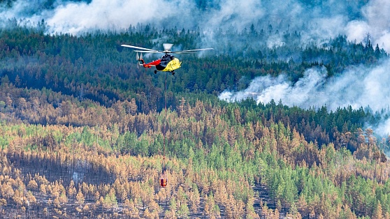 В Югре сейчас тушат 20 лесных пожаров