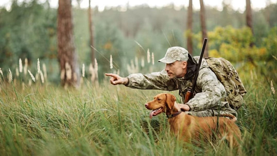 В Югре проверят соблюдение правил охоты