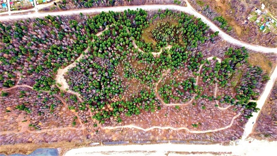 Две трети нижневартовских лесов «накрыли» системой «Лесохранитель»