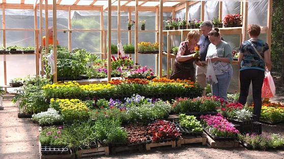 В Сургуте легализовали стихийный цветочный рынок
