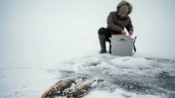 Почему ради рыбы югорчане готовы выйти на тонкий лед?