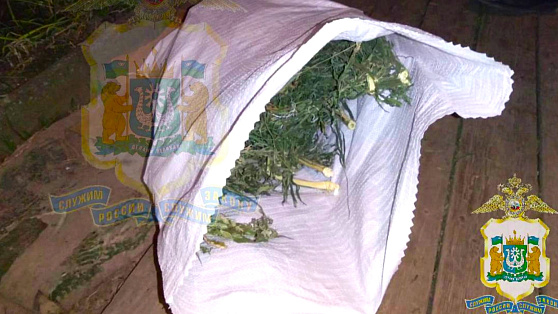 «Садовода», который культивировал наркосодержащие растения, поймали в Ханты-Мансийском районе