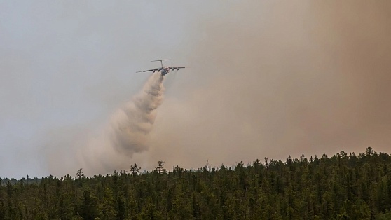 На западе снова огонь: в Югре тушат 7 лесных пожаров