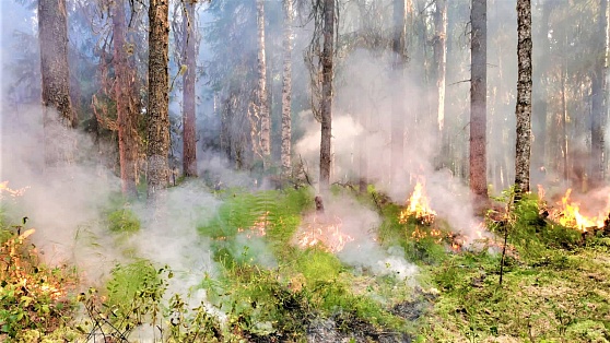 В Приобье и Сергино зафиксировали превышение концентрации угарного газа в воздухе