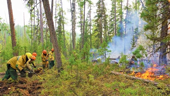 Соседи помогут Югре справиться с лесными пожарами