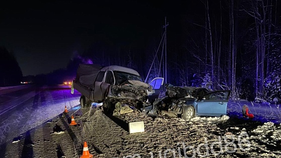 В Нефтеюганском районе при обгоне погибли водитель и его пассажир