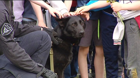 «Юные спецназовцы» из Нижневартовска познакомились со служебной собакой и её хозяином