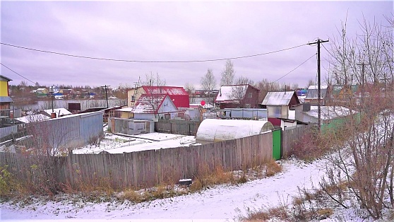 Дачники хотят в Сургутский район, чтобы получить газ