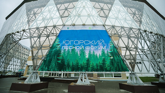 Югорский лесной форум пройдёт в Ханты-Мансийске