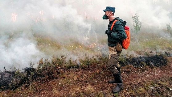 Эксперт: 94% лесных пожаров в Югре возникли из-за молний