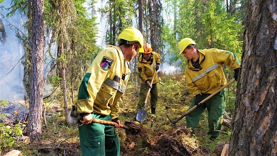 В Югре увеличилась площадь лесных пожаров