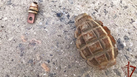 В Югре за неделю нашли и обезвредили 3 гранаты
