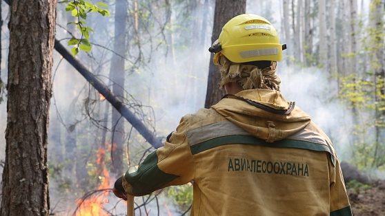 В Югре тушат один ландшафтный пожар