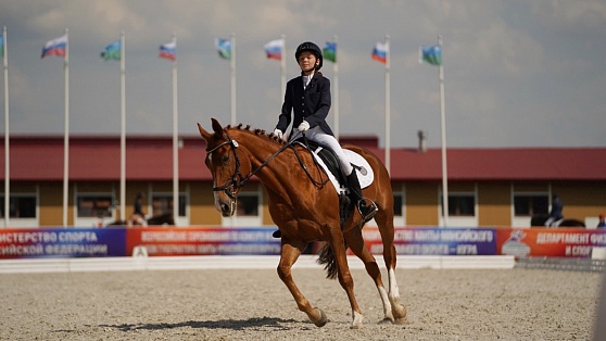 Массаж для коней. Что ещё входит в лошадиный райдер участников соревнований в Ханты-Мансийске?