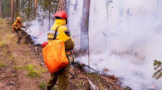 В Югре локализована треть от всех лесных пожаров