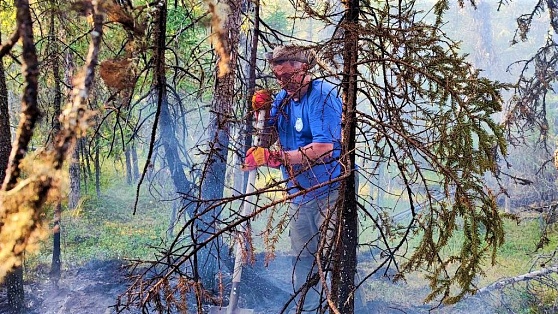 В борьбе с огнём: в этом году в Югре потушили 400 лесных пожаров