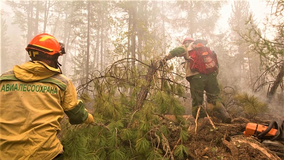 В Югре действует 20 лесных пожаров