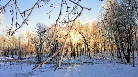 В Сургуте и Нижневартовске температура опустилась ниже -40 градусов